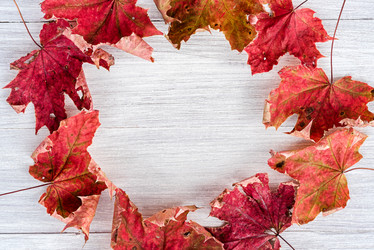 Similar image 21540204