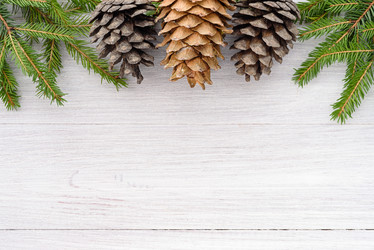 Similar image 21540396