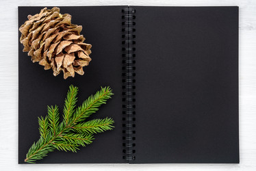 Similar image 21540407