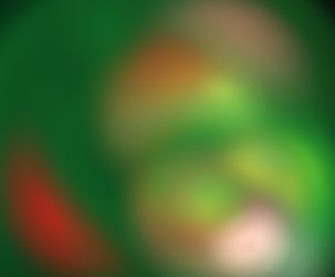 Similar image 21539725