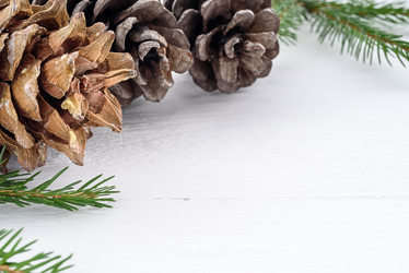 Similar image 21541420