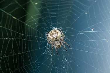 Similar image 21539556