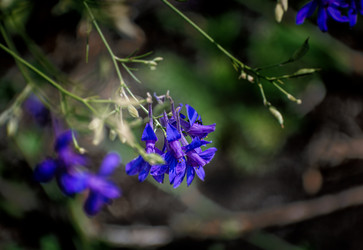 Similar image 21539732