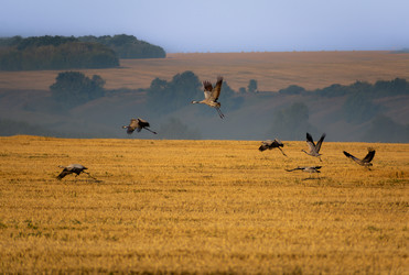 Similar image 21539557