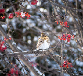 Similar image 21539558