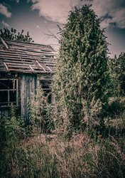 Similar image 21539561