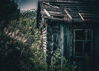 Similar image 21539562