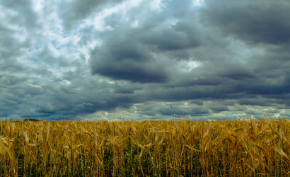 Similar image 21539734