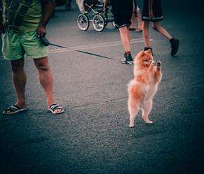 Similar image 21539735