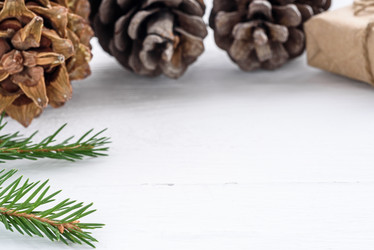 Similar image 21542118