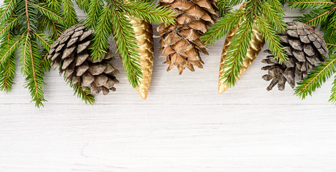 Similar image 21542126