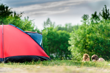 Similar image 21546425