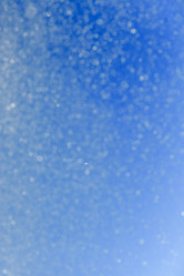 Similar image 21546437