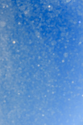 Similar image 21546438