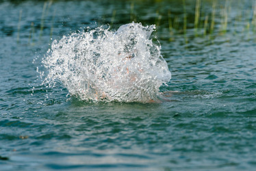 Similar image 21545003