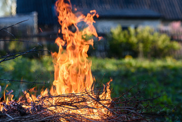 Similar image 21545190