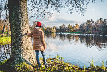 Similar image 21545423