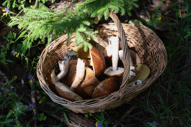 Similar image 21539494