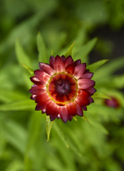 Similar image 21539565