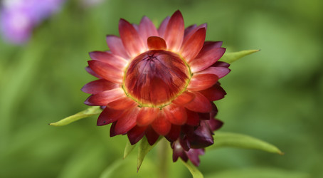 Similar image 21539566