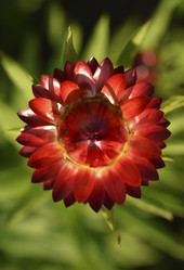 Similar image 21539568