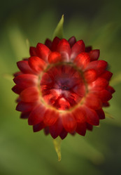 Similar image 21539570