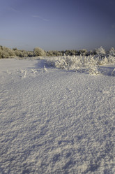 Similar image 21546131