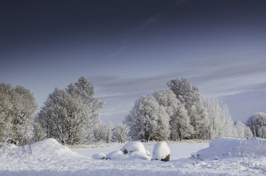 Similar image 21546133