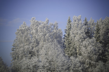 Similar image 21546445