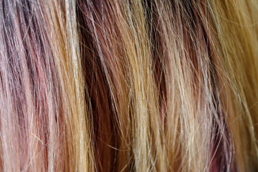 Similar image 21546450