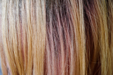 Similar image 21546454