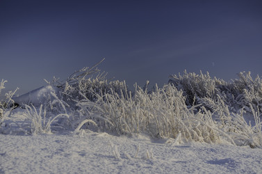 Similar image 21546455