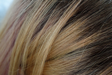 Similar image 21546456