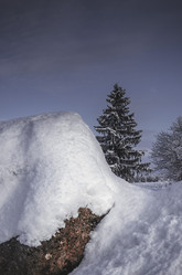 Similar image 21546457