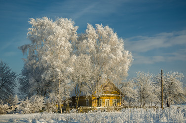 Similar image 21546459