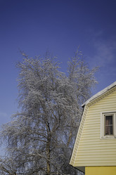 Similar image 21546464