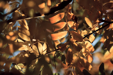 Similar image 21542568