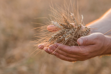 Similar image 21539762