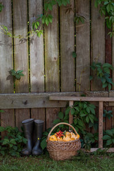 Similar image 21539764