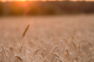 Similar image 21539765