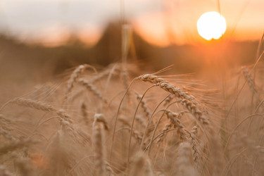 Similar image 21539767