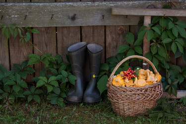 Similar image 21539768