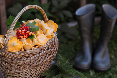 Similar image 21539770