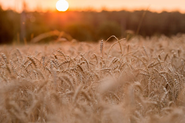 Similar image 21539771