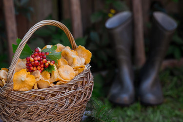 Similar image 21539772