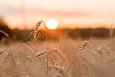 Similar image 21539775