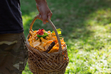 Similar image 21539776