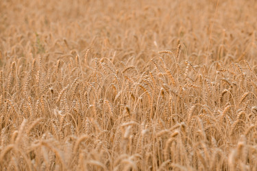 Similar image 21539779