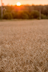 Similar image 21539781