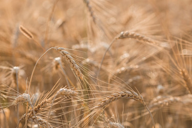 Similar image 21539783